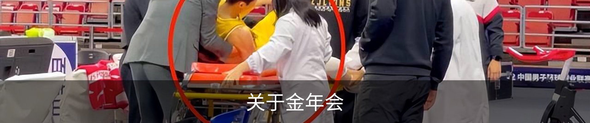 关于金年会